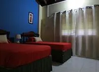 New Kingston Guest Apartment III 0*,