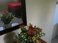 New Kingston Guest Apartment III